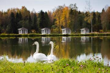 Фото Гостиница Гранд отель и Спа Аристократ г. Кострома 5